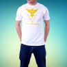 Tshirt homme Pokemon Team Instinct